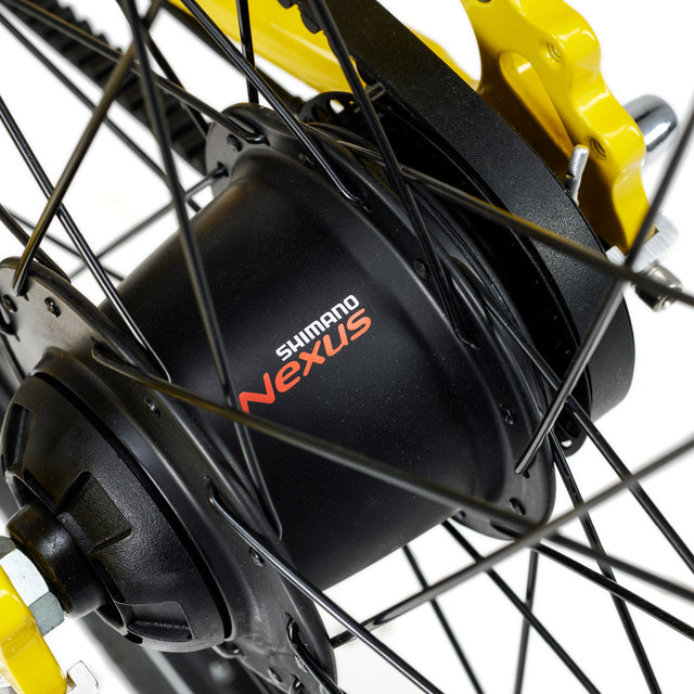 ACADEMY ACADEMY Grade 5 Belt 24" Yellow &vert; fahrrad.de