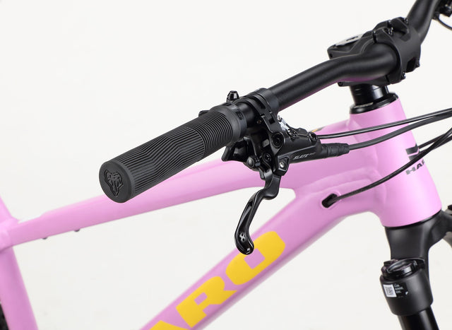Haro Bikes Haro Bikes Saguaro 2 Matte Mauve &vert; fahrrad.de