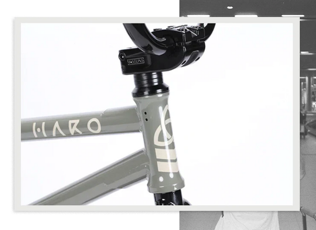 Haro Bikes Haro Bikes "Dennis Enarson SD" AM &vert; fahrrad.de Hotsell