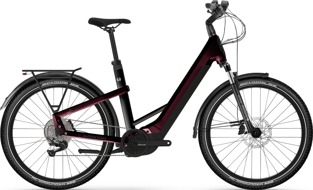 Winora Yakun X10E (Lowstep) 2024