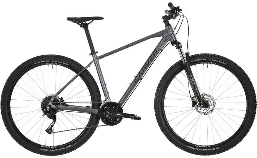 Carver Strict 120 - 29 Zoll - Diamant - 2024