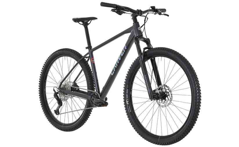 Carver Strict 170 - 29 Zoll - Diamant - 2024 Begrenzt auf 3 Tage