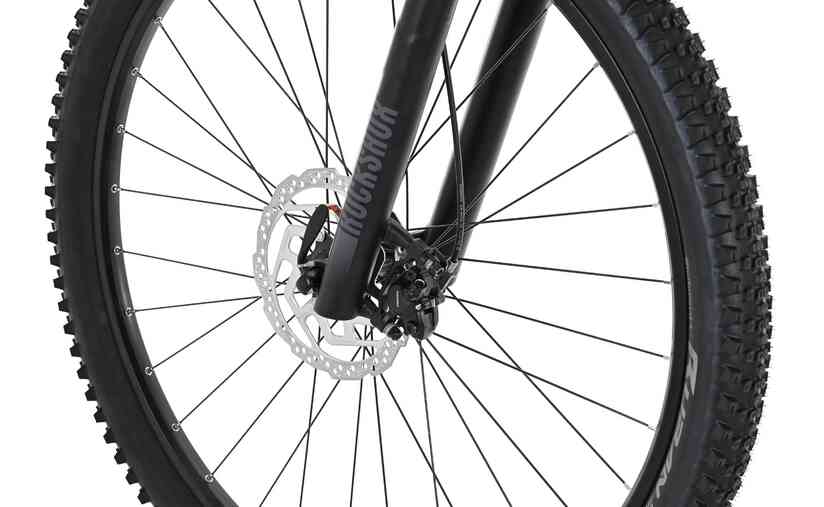 Carver Strict 170 - 29 Zoll - Diamant - 2024 Begrenzt auf 3 Tage