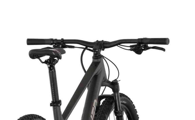 Carver Strict 170 - 29 Zoll - Diamant - 2025 Top Angebot