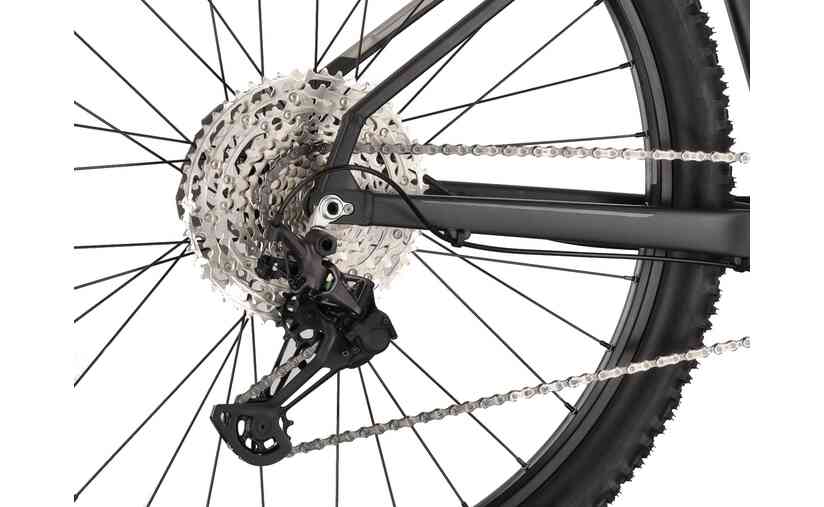 Carver Strict 170 - 29 Zoll - Diamant - 2025 Top Angebot
